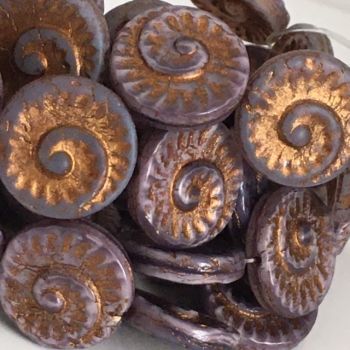 AMMONITE FOSSIL COIN